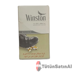 WİNSTON SİLVER